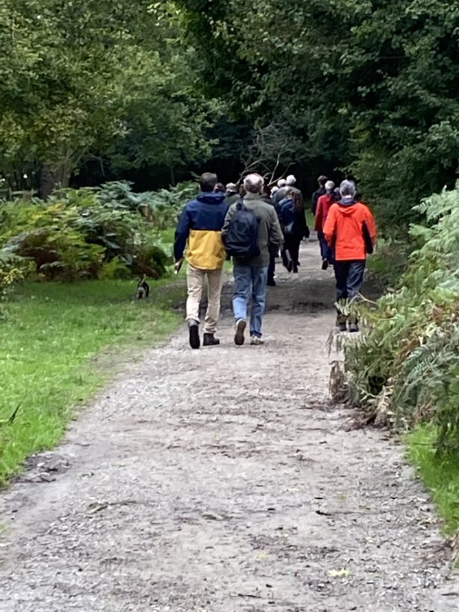 Cleared and repaired track for walkers and cyclists.