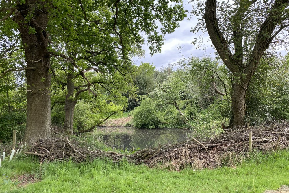 Natural flood management at Fillongley