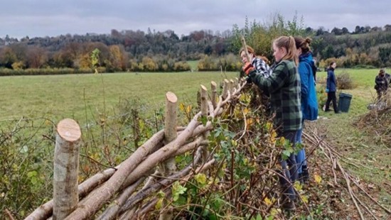 Great big donation from National Highways to hedgerow project