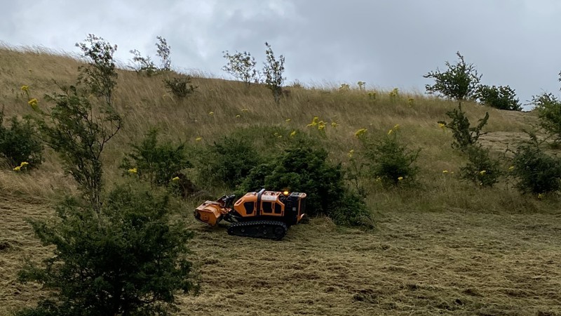 Robot cutters help meadows to thrive